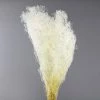 Richland Baby's Breath White Stardust Bundle 24in Seasonal Parties