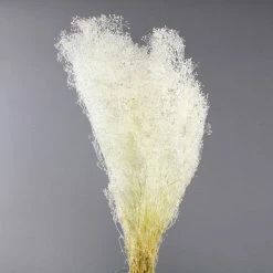 Richland Baby's Breath White Stardust Bundle 24in Seasonal Parties