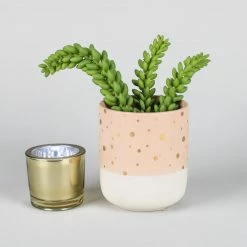 Save-On-Crafts Sedum Bush Pick Green 3" X 9" Christmas