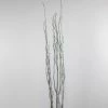 Richland Sparkle Natural Birch Tree Branches 34-44in