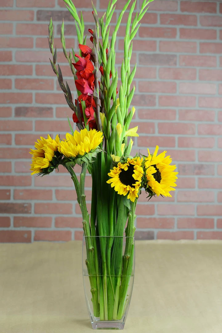 Richland Sturdy Tapered Rectangle Clear Glass 11-3/4" Vases 2 Richland Sturdy Tapered Rectangle Clear Glass 11-3/4" Vases