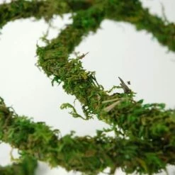 Richland Moss Vine Preserved 12ft Christmas