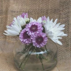 Weddings Richland Etta Vase Set Of 6