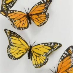 Richland Decorative Monarch Butterflies | 6 Pk Seasonal Parties
