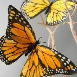 Richland Decorative Monarch Butterflies | 6 Pk Seasonal Parties