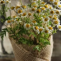 Richland 12 Rustic Burlap Pot Gift Wrap - 20 X 20