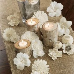 Richland Sola Flowers Zinnia 1.5in Pack Of 12