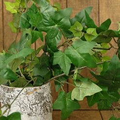 Richland Weddings White Washed Birch Bark Cylinder 6in