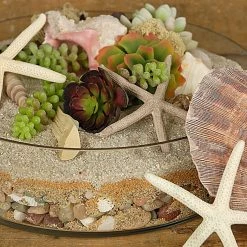 Richland Clear Glass Terrarium Dish 3in X 12in