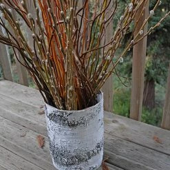 Richland White Washed Birch Bark Vase 10 X 7in