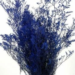 Richland Seasonal Parties Preserved Dyed Caspia 8 Oz.Cobalt Blue