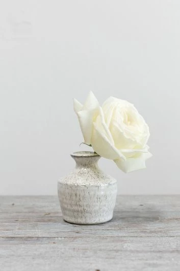 Richland Hari Budvase 3" X 3.5" Set Of 12 3 Richland Hari Budvase 3" X 3.5" Set Of 12