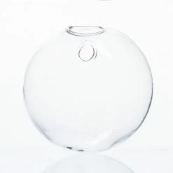 Richland Hallie Wall Vase Set Of 12