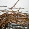 Richland Natural Twig Garland 15ft