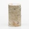 Richland 6" Natural Birch Tree Branch Candle Holder