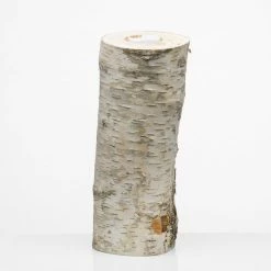 Richland Shop By Event 10" Natural Birch Tree Branch Candle Holder