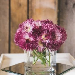 Richland Square Glass Cube Vase 5" Weddings