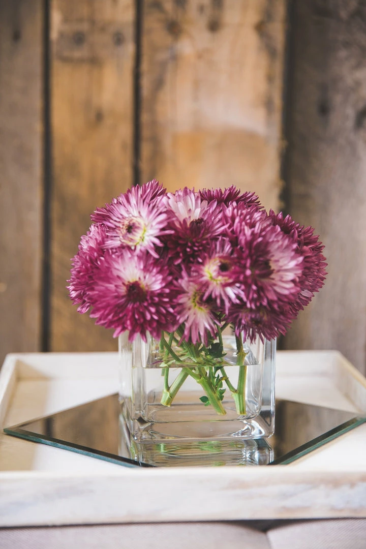 Richland Square Glass Cube Vase Set Of 36 (4"/5"/6") 5 Richland Square Glass Cube Vase Set Of 36 (4"/5"/6")