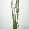 Richland Christmas Moss Covered 48"-52" Coastal Range Natural Branches Bundle Of 3