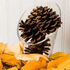 Richland Odell Vase Set Of 12