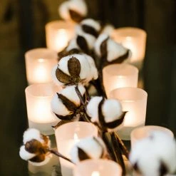 Richland Cotton Stalk 26" Set Of 24 Seasonal Parties