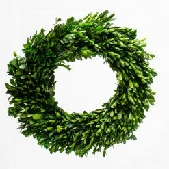 Richland Preserved Boxwood Wreath 17” Christmas