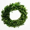 Christmas Richland Preserved Boxwood Wreath 17” Set Of 6