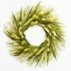 Richland Preserved Willow Wreath 14" Set Of 6 Seasonal Parties