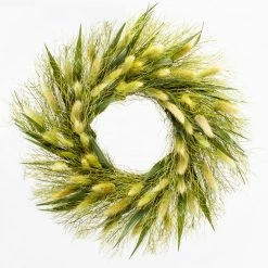 Richland Preserved Willow Wreath 14" Set Of 6 Seasonal Parties