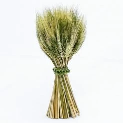 Richland Preserved Stand Up Wheat Bundle
