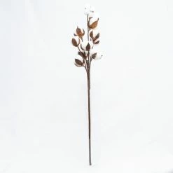 Richland Cotton Stalk 26