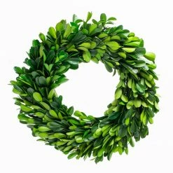 Richland Preserved Boxwood Wreath 8” Set Of 12 Christmas