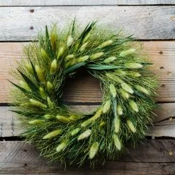 Richland Preserved Willow Wreath 14" Set Of 6 Seasonal Parties
