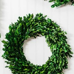 Richland Preserved Boxwood Wreath 17” Christmas