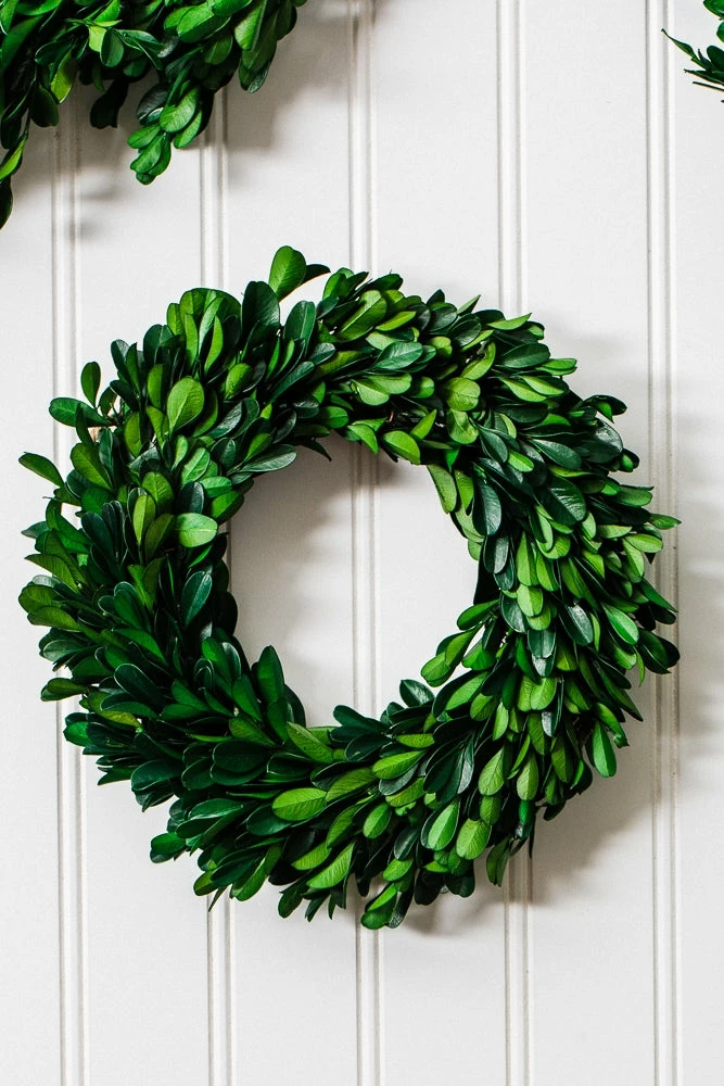 Richland Preserved Boxwood Wreath 8” Set Of 12 Christmas 3 Richland Preserved Boxwood Wreath 8” Set Of 12 Christmas