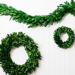 Christmas Richland Preserved Boxwood Wreath 17” Set Of 6