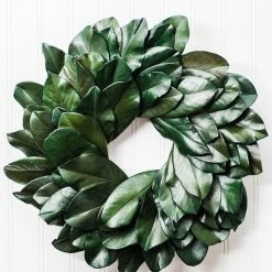 Christmas Richland Preserved Magnolia Wreath 17" 7 Christmas Richland Preserved Magnolia Wreath 17