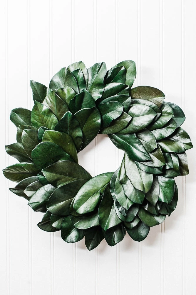 Christmas Richland Preserved Magnolia Wreath 17" 4 Christmas Richland Preserved Magnolia Wreath 17"