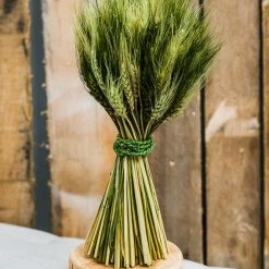 Seasonal Parties Richland Preserved Stand Up Wheat Bundle Set Of 16