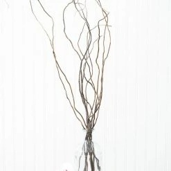Richland Curly Willow Tree Branch Bundle, 3-4 Feet Seasonal Parties