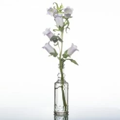 Weddings Richland Vintage Glass Bud Vase Set Of 12