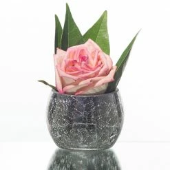 Richland Silver Crackle Hurricane Holder Set Of 12