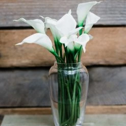 Weddings Richland Dora Bud Vase Set Of 6