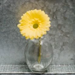 Weddings Richland Finney Bud Vase Set Of 12