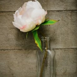 Richland Effie Bud Vase Set Of 48