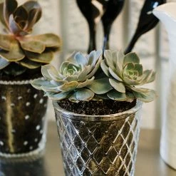 Richland Tipper Vase & Candle Holder Set Of 12