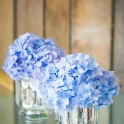 Richland Mercury Venus Jar Silver