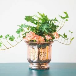 Weddings Richland Mercury Venus Jar Rose Gold