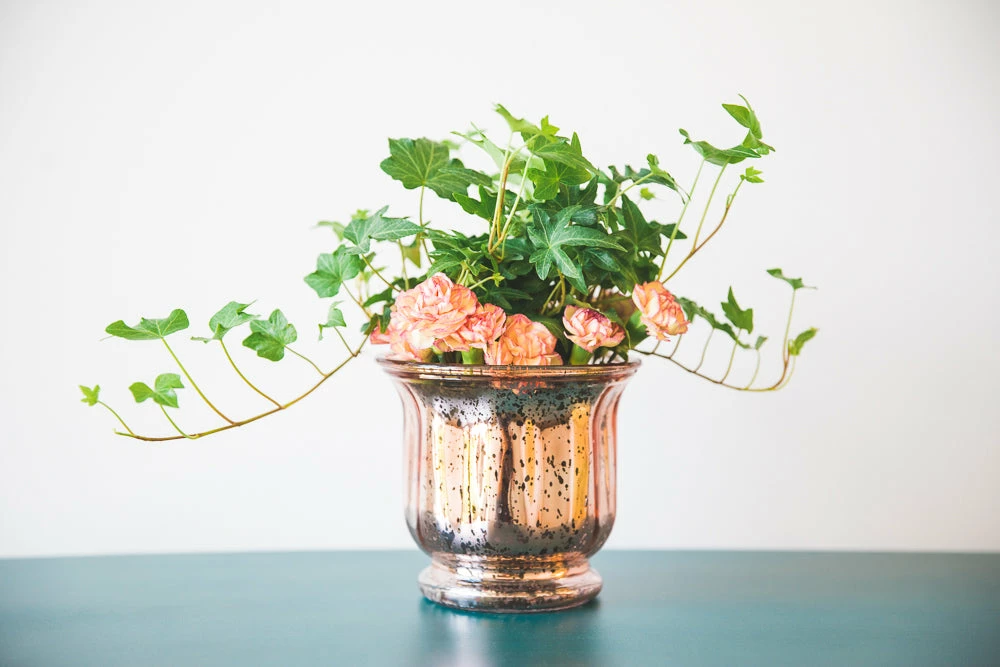 Richland Mercury Venus Jar Rose Gold Set Of 12 Weddings 2 Richland Mercury Venus Jar Rose Gold Set Of 12 Weddings