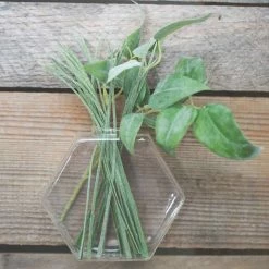 Richland Hoyt Wall Vase